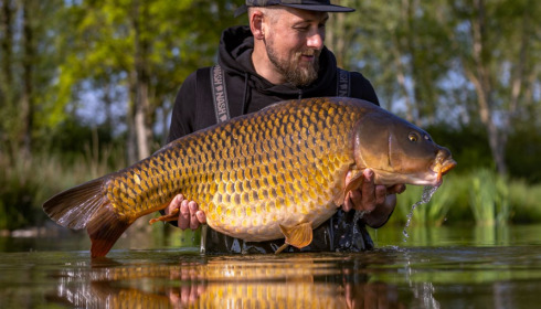 A carp from Ragon, May 2022