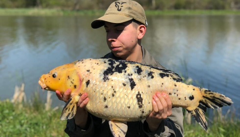 A carp from Ragon, Apr 2021