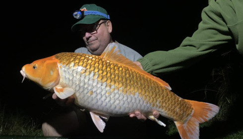 A carp from Ragon, Oct 2022
