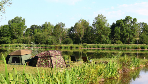 A fish from Ragon, Steven Bailey, Jun 2023