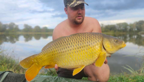 A carp from Ragon, Oct 2022