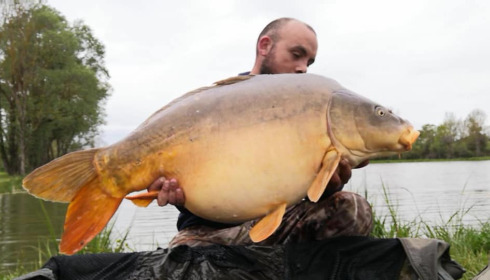 A carp from Ragon, Jun 2021
