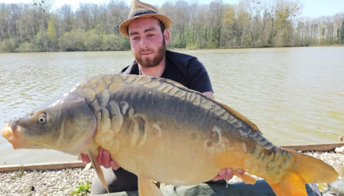 A carp from Renarde, Apr 2021