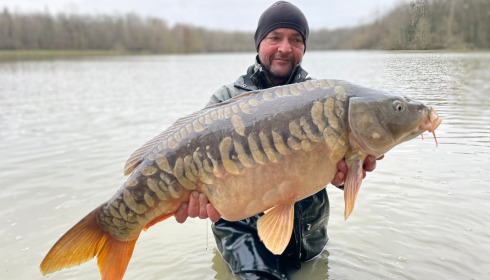 A carp from Renarde, Jan 2023