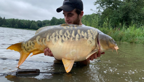 A carp from Renarde, Jul 2021
