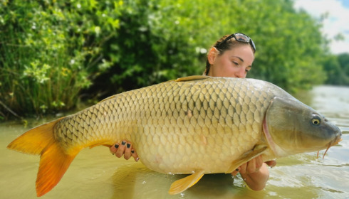 A carp from Renarde, Jun 2021