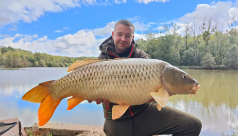 A carp from Renarde, Oct 2022