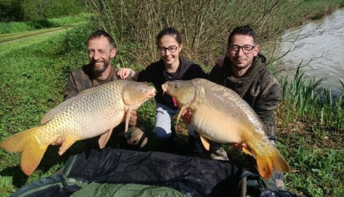 A carp from Renarde, May 2023