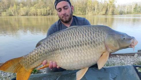 A carp from Renarde, Apr 2021