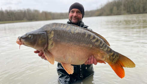 A carp from Renarde, Jan 2023