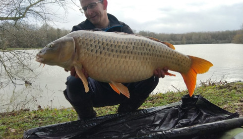 A carp from Renarde, Mar 2023
