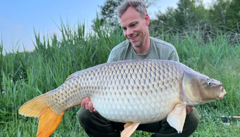 A carp from Renarde, Jun 2023