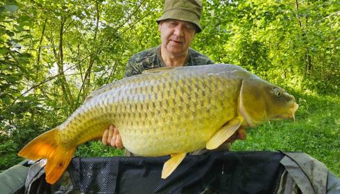 A carp from Renarde, Jun 2023