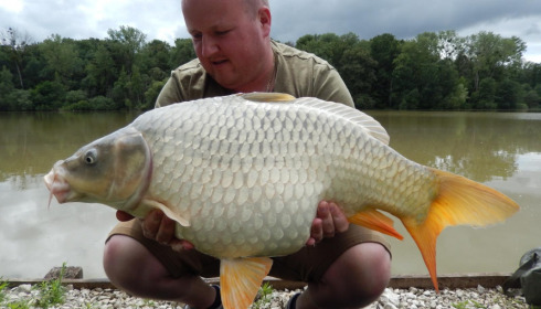 A carp from Renarde, Jul 2021