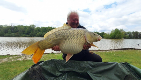 A carp from Renarde, May 2022