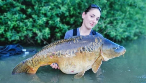 A carp from Renarde, Jun 2021