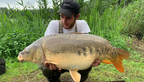 A carp from Renarde, Jul 2021
