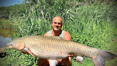 A grass carp from Renarde, Jul 2021