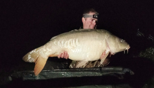 A carp from Renarde, Oct 2022