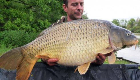 A carp from Renarde, May 2021
