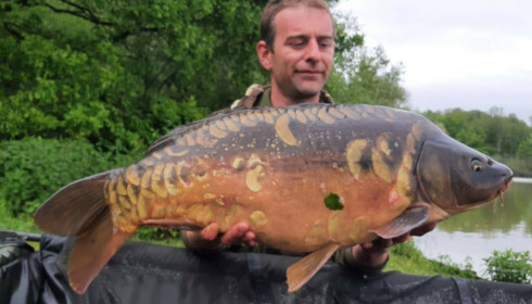 A carp from Renarde, May 2021