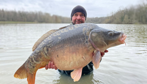 A carp from Renarde, Jan 2023