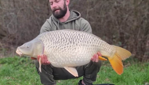 A carp from Renarde, Mar 2023