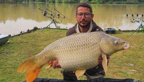 A carp from Renarde, May 2022