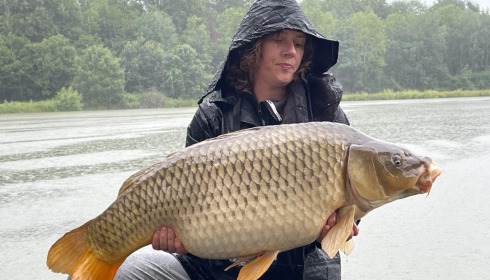 A carp from Renarde, Jul 2021