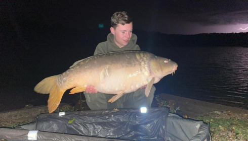 A carp from Renarde, Oct 2022