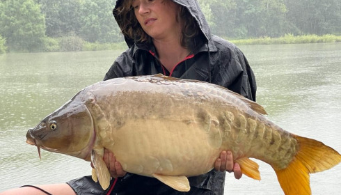 A carp from Renarde, Jul 2021
