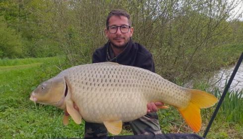 A carp from Renarde, Apr 2023