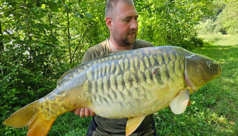 A carp from Renarde, Jun 2023