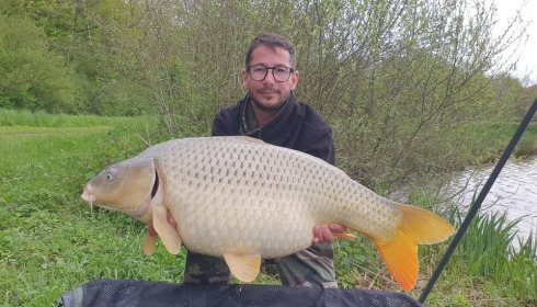 A carp from Renarde, Jun 2023