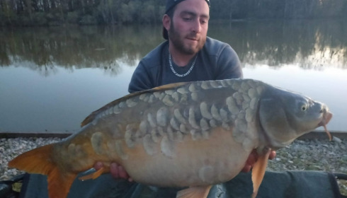 A carp from Renarde, Apr 2021