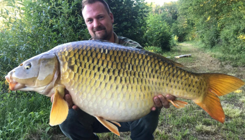 A carp from Renarde, Jun 2021