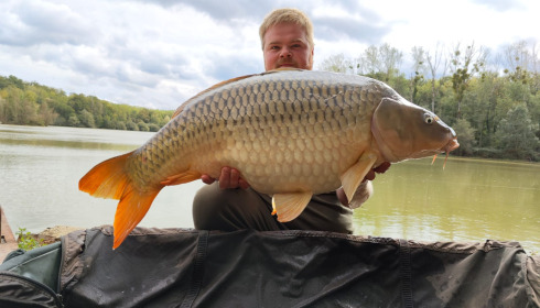 A carp from Renarde, Oct 2022
