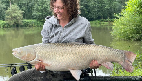 A grass carp from Renarde, Jul 2021