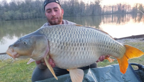 A carp from Renarde, Apr 2021