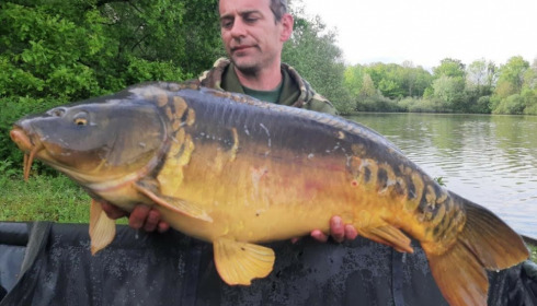 A carp from Renarde, May 2021