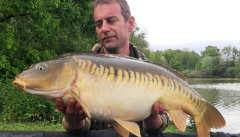 A carp from Renarde, May 2021