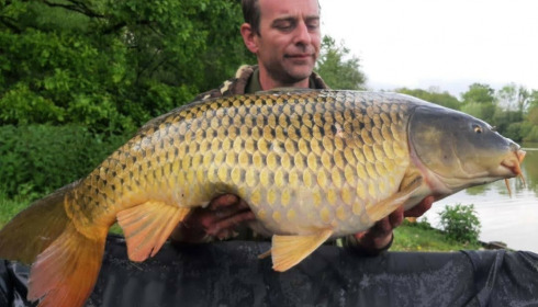 A carp from Renarde, May 2021