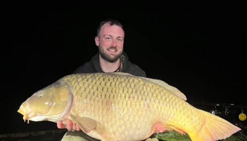 A carp from Renarde, Apr 2022