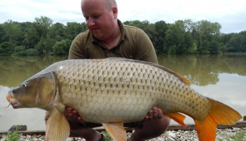 A carp from Renarde, Jul 2021