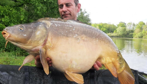 A carp from Renarde, May 2021