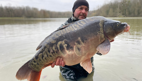 A carp from Renarde, Jan 2023