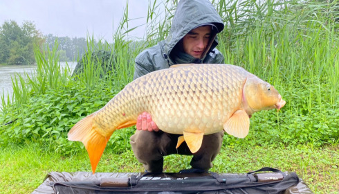 A carp from Renarde, Jul 2021