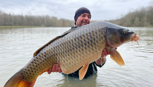 A carp from Renarde, Jan 2023
