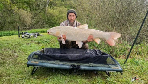 A carp from Renarde, Apr 2023