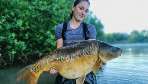 A carp from Renarde, Jun 2021